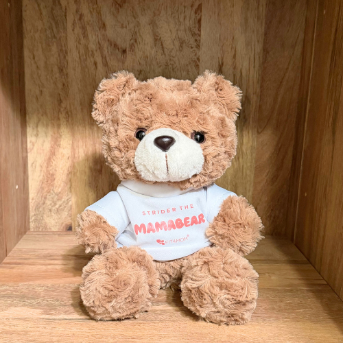 Brown bear w/ white shirt