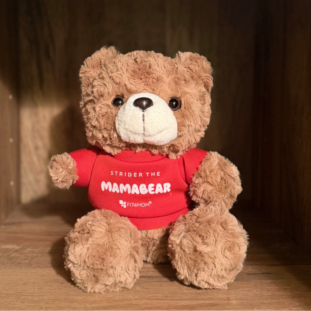 Brown bear w/ red shirt
